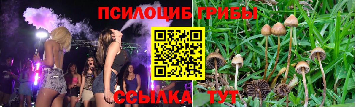 Псилоцибиновые грибы прущие грибы Ейск